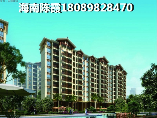 2025年海南临高发展前景分析