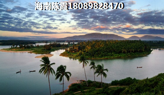 生命里是什么意思是什么