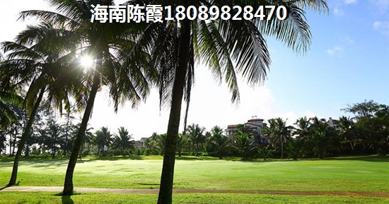 2025在乌海买房子哪里环境好