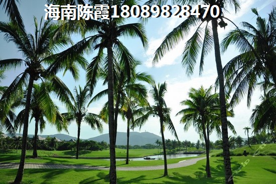 海南有哪些好的房子？