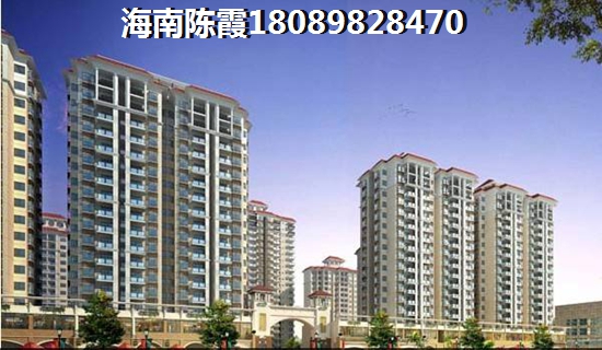 海南新房touzi价纸分析
